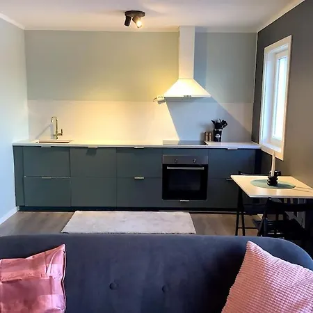 Koselig 1 Roms Leilighet Med Balkong Oslo