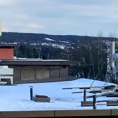 Koselig 1 Roms Leilighet Med Balkong Leilighet *