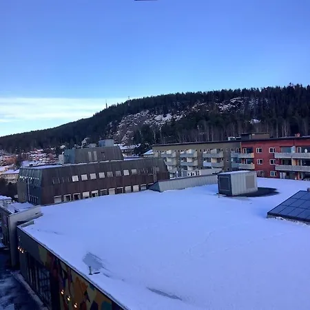 Leilighet Koselig 1 Roms Leilighet Med Balkong